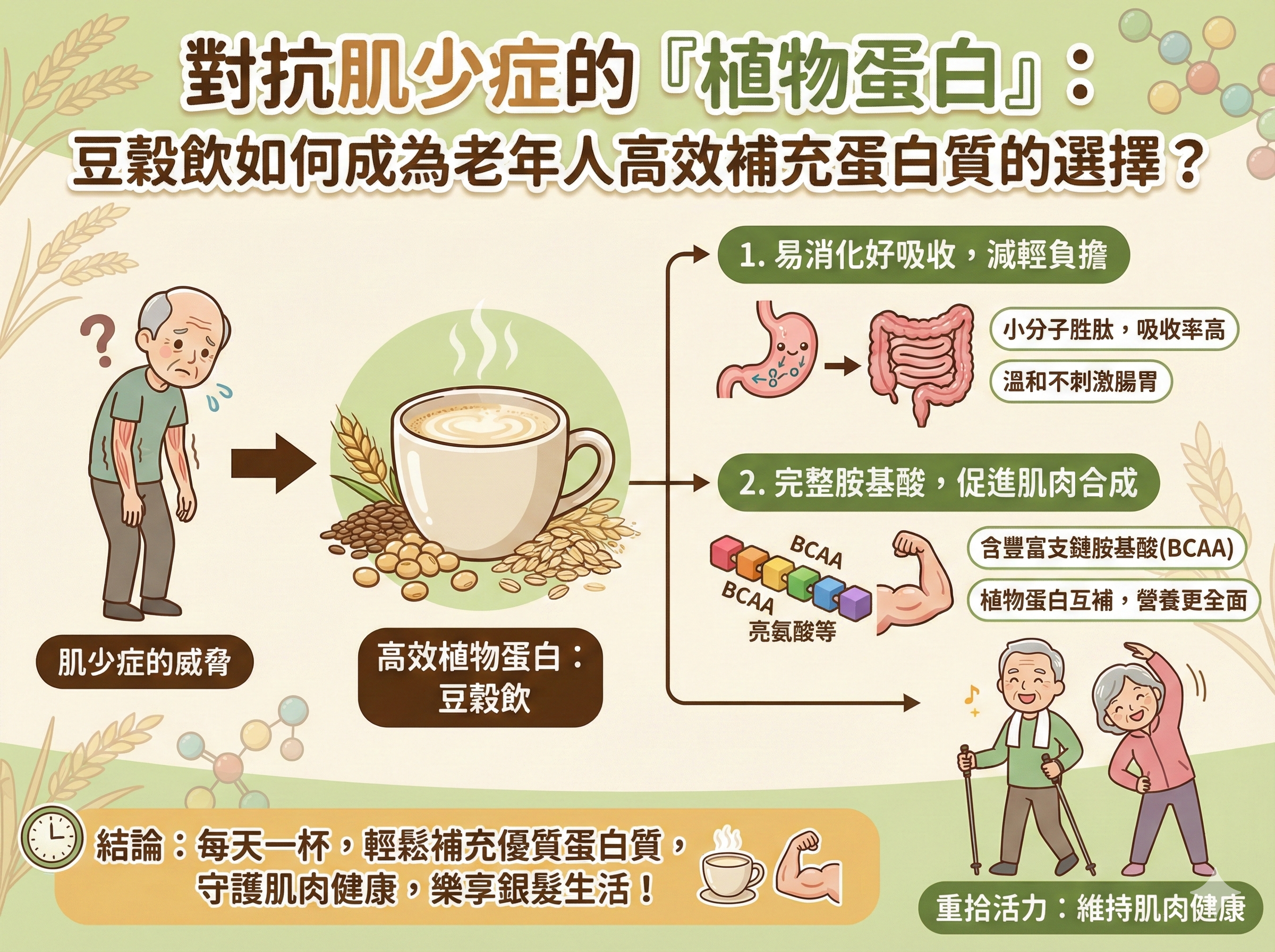 Q032 對抗肌少症的「植物蛋白」： 豆穀飲如何成為老年人高效補充蛋白質的選擇？