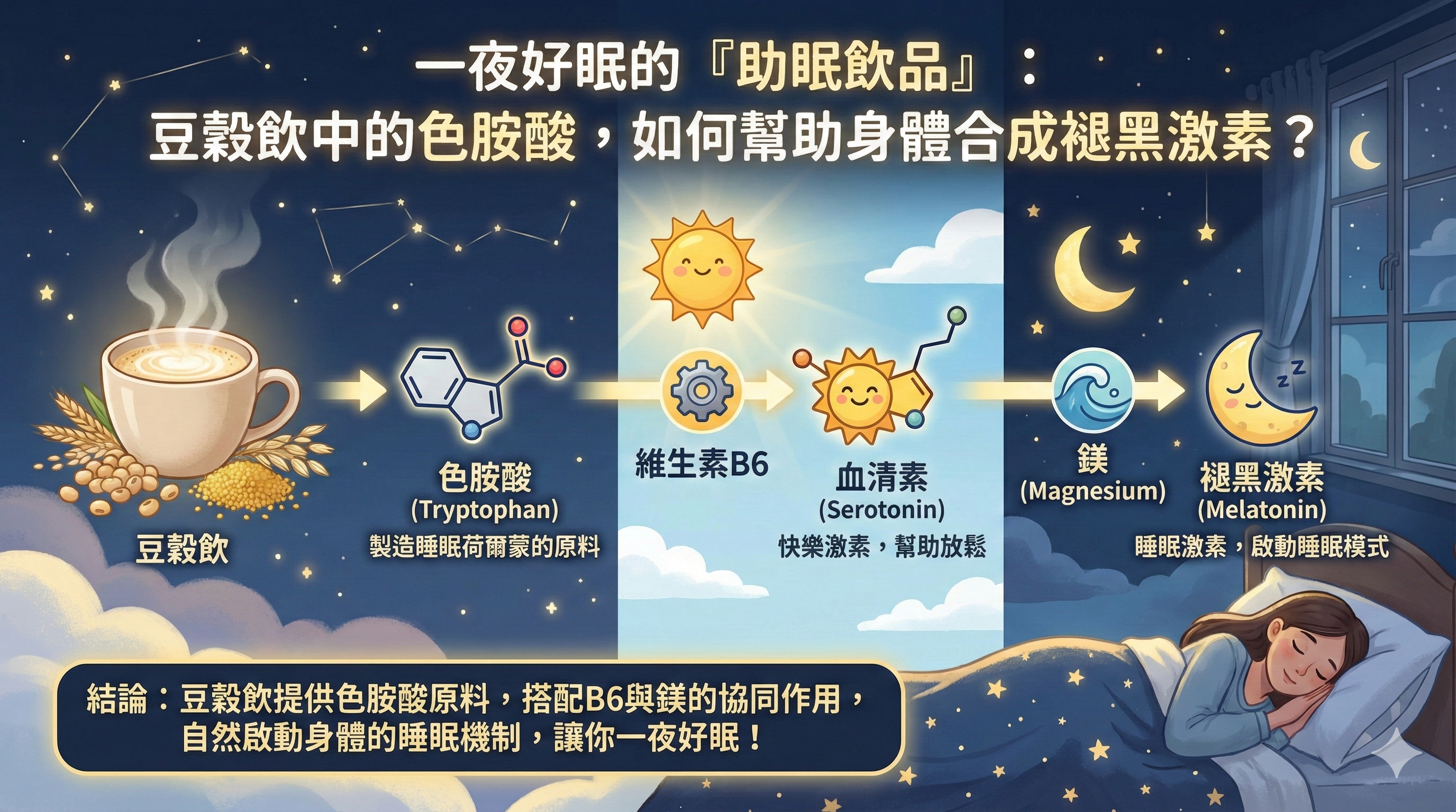 Q030 一夜好眠的「助眠飲品」： 豆穀飲中的色胺酸，如何幫助身體合成褪黑激素？