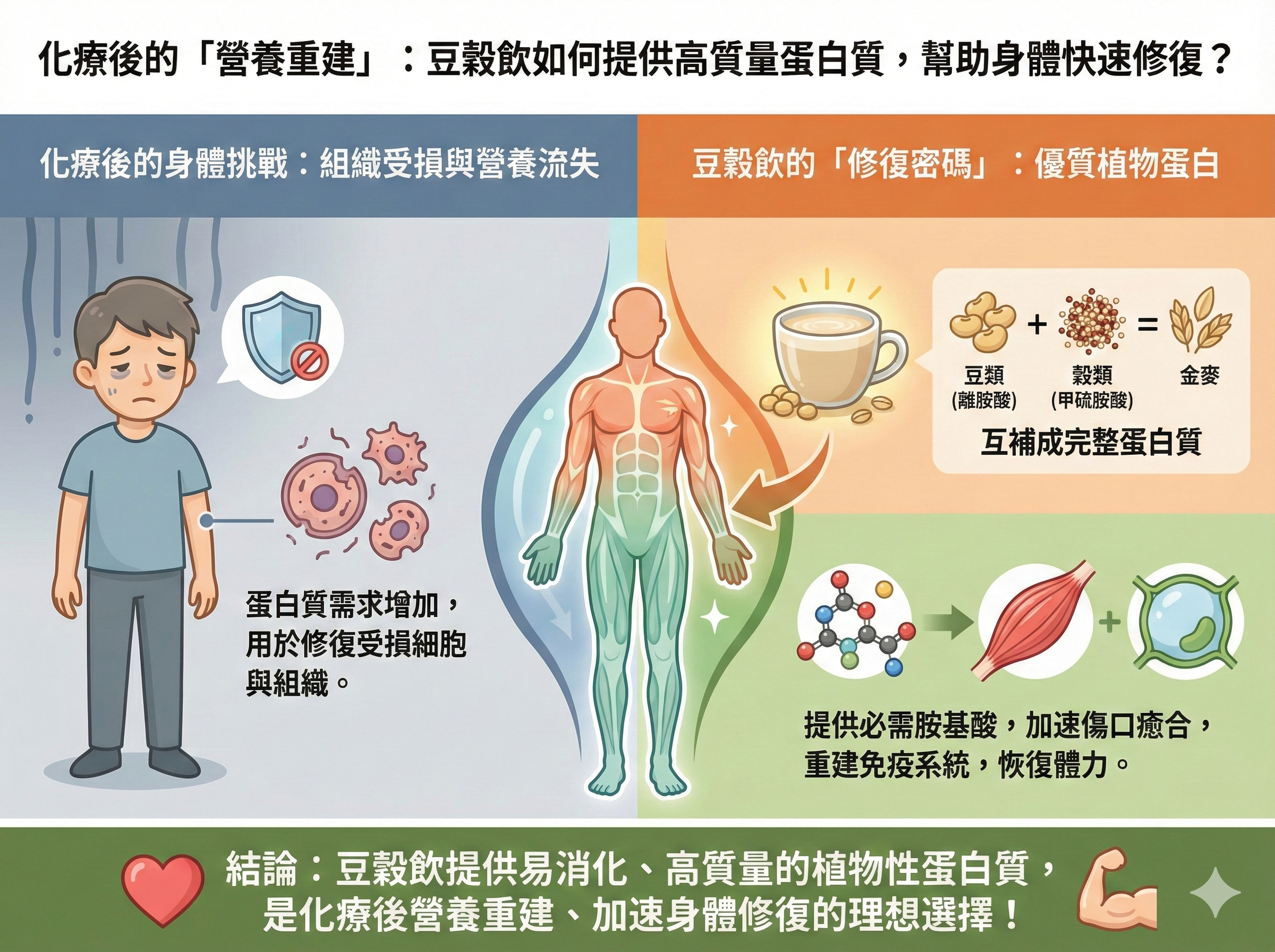 Q019 化療後的「營養重建」： 豆穀飲 如何提供高質量蛋白質，幫助身 體快速修復？