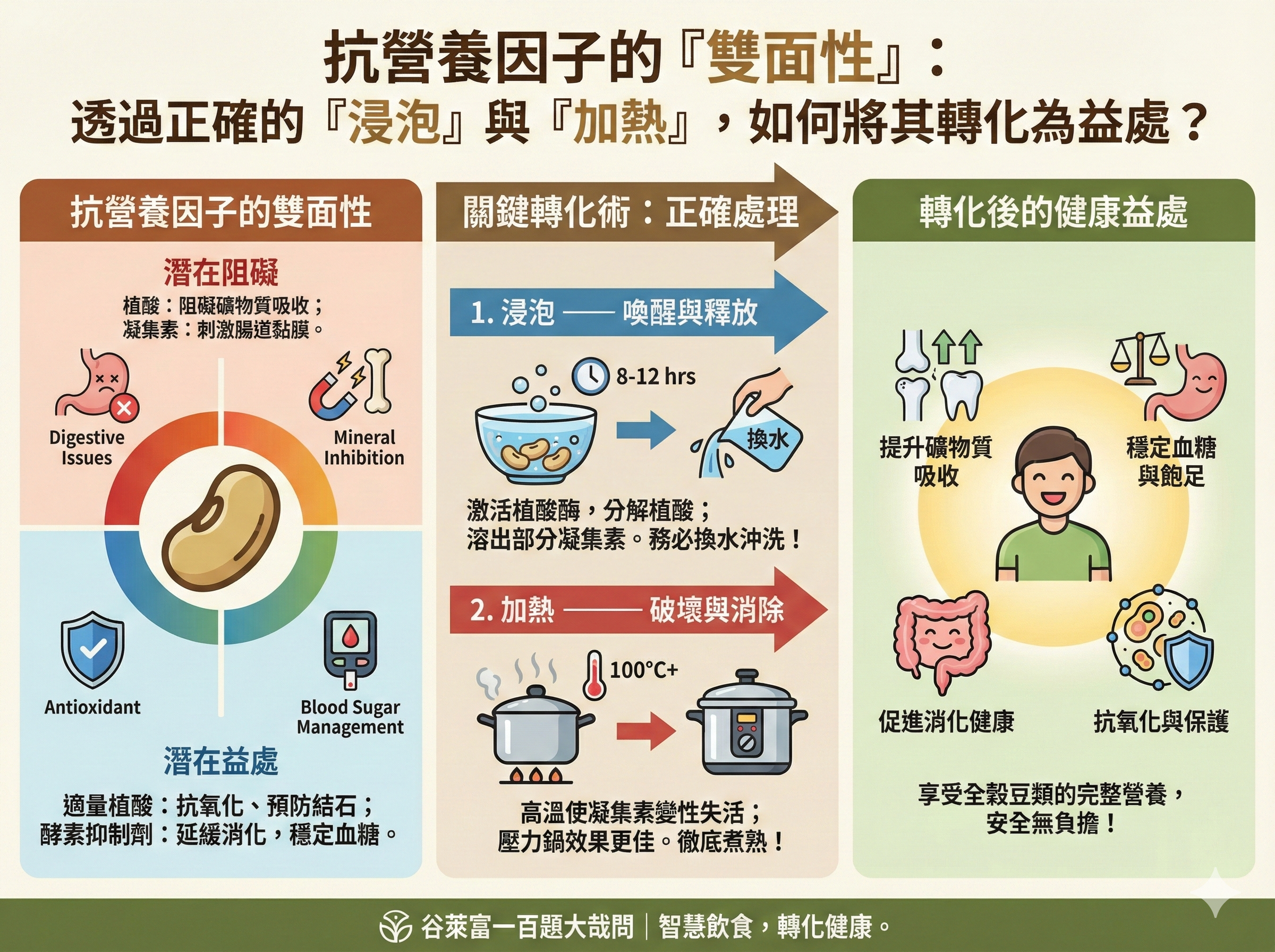 Q058 抗營養因子的「雙面性」： 透過正確的「浸泡」與「加熱」，如何將其轉化為益處？